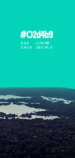 Cartão de paleta: verde-água #02d4b9 sobre a Floresta Amazônica