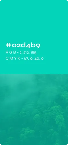 Cartão de paleta: verde-água #02d4b9 sobre floresta com neblina